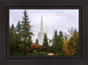 Portland Temple Forest Through The Trees