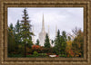 Portland Temple Forest Through The Trees