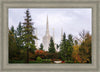 Portland Temple Forest Through The Trees