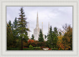 Portland Temple Forest Through The Trees