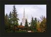 Portland Temple Forest Through The Trees