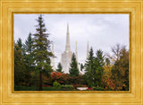 Portland Temple Forest Through The Trees