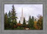 Portland Temple Forest Through The Trees