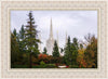 Portland Temple Forest Through The Trees