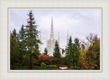 Portland Temple Forest Through The Trees