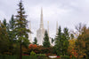 Portland Temple Forest Through The Trees