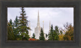 Portland Temple Forest Through The Trees