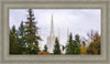 Portland Temple Forest Through The Trees