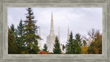 Portland Temple Forest Through The Trees