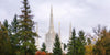 Portland Temple Forest Through The Trees