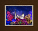 Washington DC Temple Christmas Lights