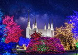 Washington DC Temple Christmas Lights