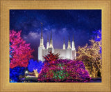 Washington DC Temple Christmas Lights