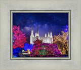 Washington DC Temple Christmas Lights