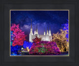 Washington DC Temple Christmas Lights