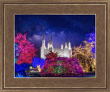 Washington DC Temple Christmas Lights