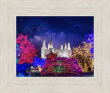 Washington DC Temple Christmas Lights