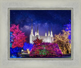 Washington DC Temple Christmas Lights