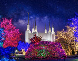 Washington DC Temple Christmas Lights