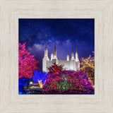 Washington DC Temple Christmas Lights