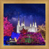 Washington DC Temple Christmas Lights