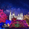 Washington DC Temple Christmas Lights