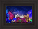 Washington DC Temple Christmas Lights