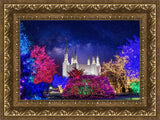 Washington DC Temple Christmas Lights