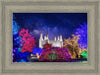 Washington DC Temple Christmas Lights