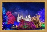 Washington DC Temple Christmas Lights