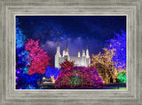 Washington DC Temple Christmas Lights