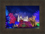 Washington DC Temple Christmas Lights