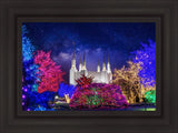 Washington DC Temple Christmas Lights