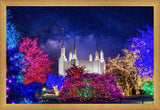 Washington DC Temple Christmas Lights