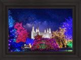 Washington DC Temple Christmas Lights