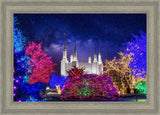 Washington DC Temple Christmas Lights