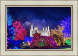 Washington DC Temple Christmas Lights