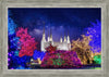 Washington DC Temple Christmas Lights