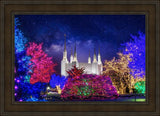 Washington DC Temple Christmas Lights