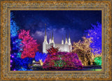 Washington DC Temple Christmas Lights