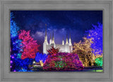 Washington DC Temple Christmas Lights