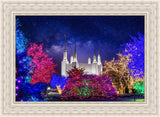 Washington DC Temple Christmas Lights