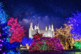 Washington DC Temple Christmas Lights