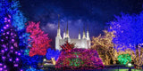 Washington DC Temple Christmas Lights