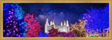 Washington DC Temple Christmas Lights