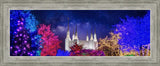 Washington DC Temple Christmas Lights