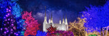 Washington DC Temple Christmas Lights