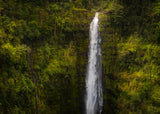 Akaka Falls, Hawaii