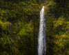 Akaka Falls, Hawaii