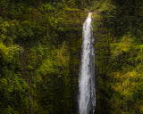 Akaka Falls, Hawaii